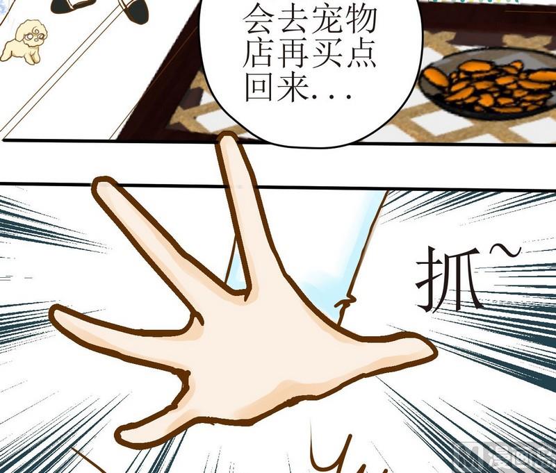 第8话 汝名猪豆儿-第8话