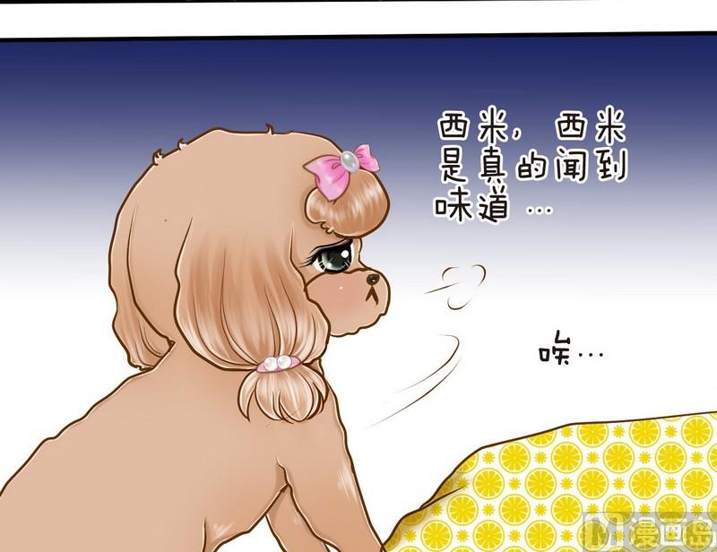 第10话 西米的花花被2-第10话