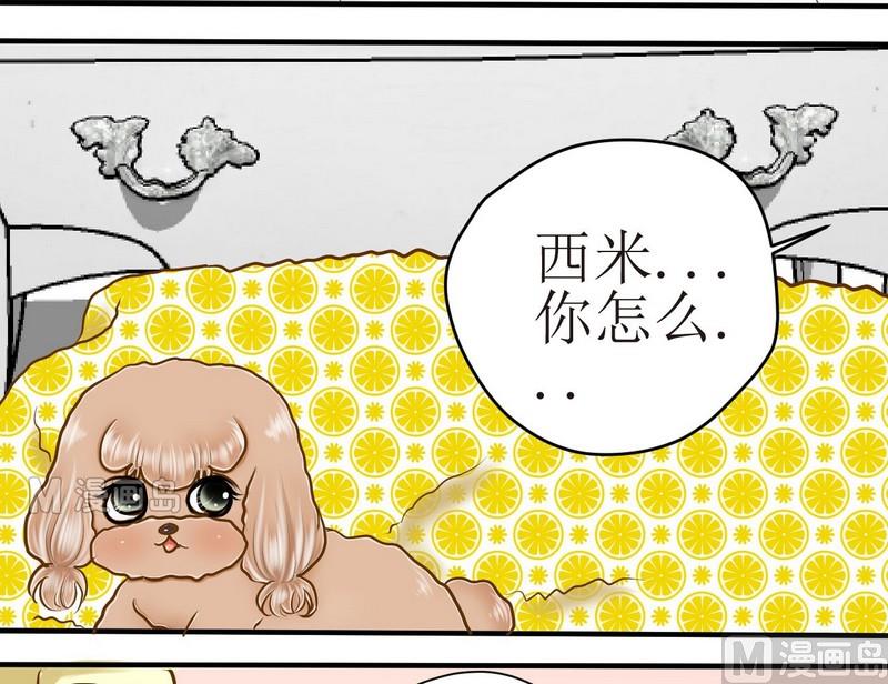 第10话 西米的花花被2-第10话