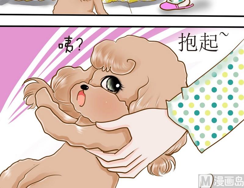 第10话 西米的花花被2-第10话