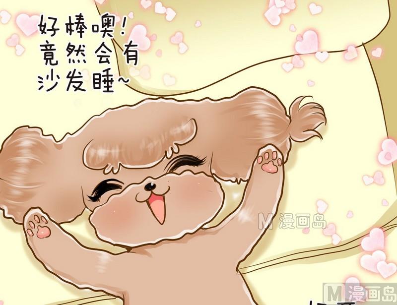 第10话 西米的花花被2-第10话