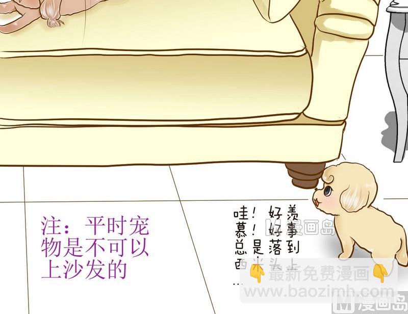 第10话 西米的花花被2-第10话