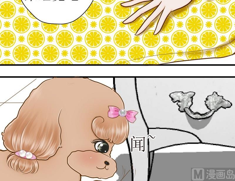 第10话 西米的花花被2-第10话