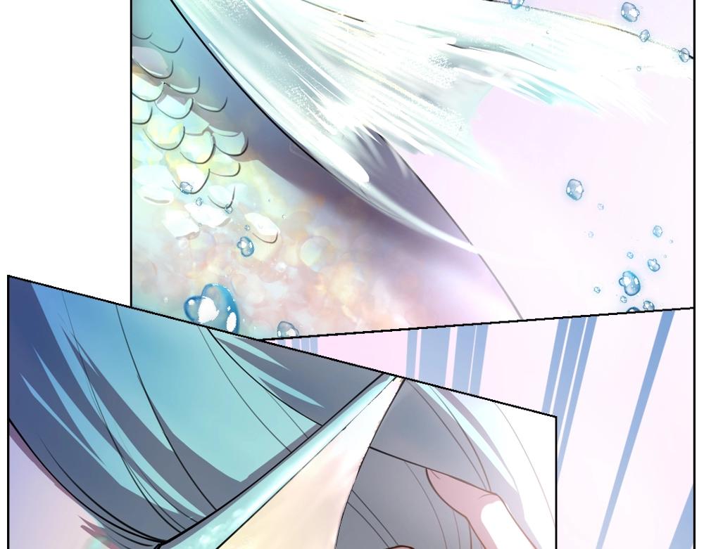 第19话  特色浓汤(1/2)-第22话