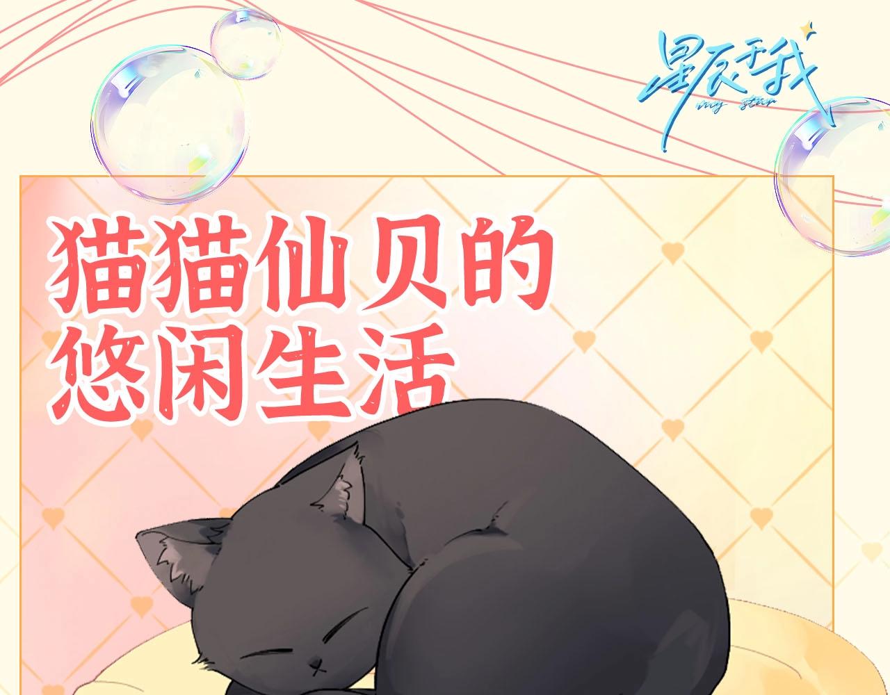 星辰于我 - 第40期 猫猫仙贝的悠闲生活 - 1