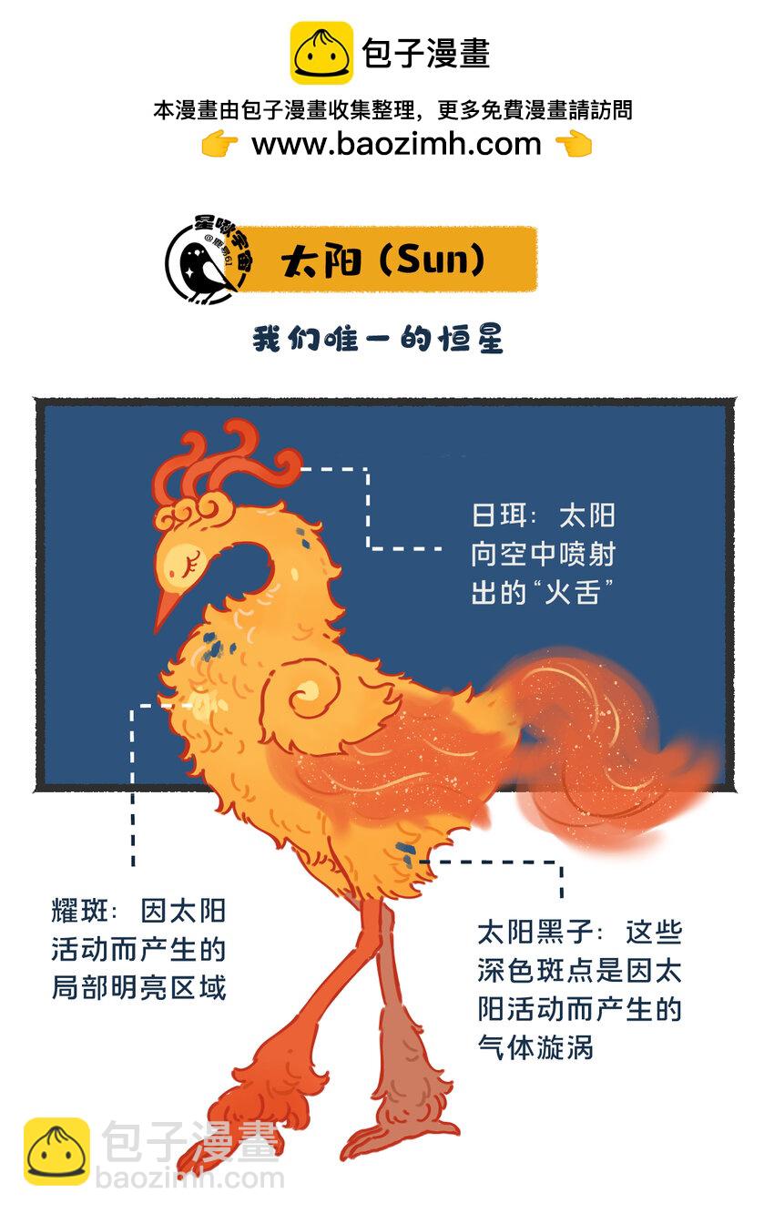 星啾宇宙 - 26 太陽擬鳥的設定 - 2