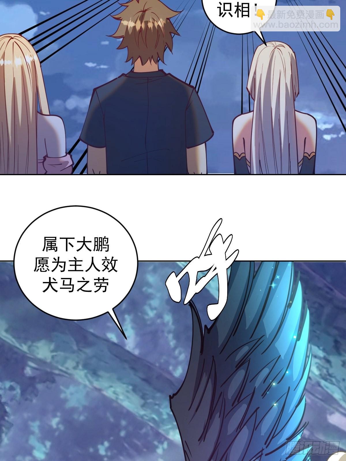 第204话：大鹏-第208话