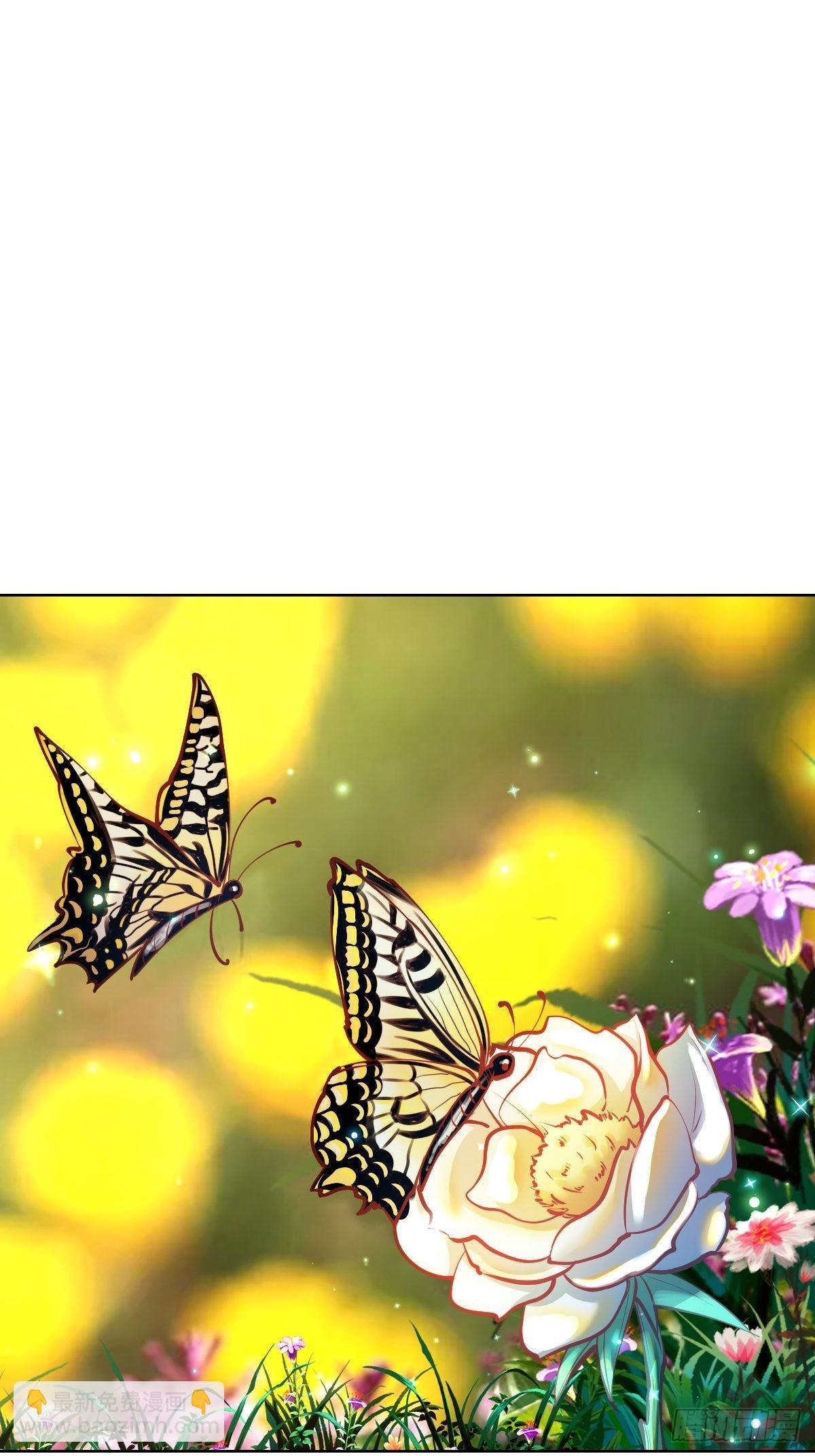 第240话：菲菲的礼物-第244话