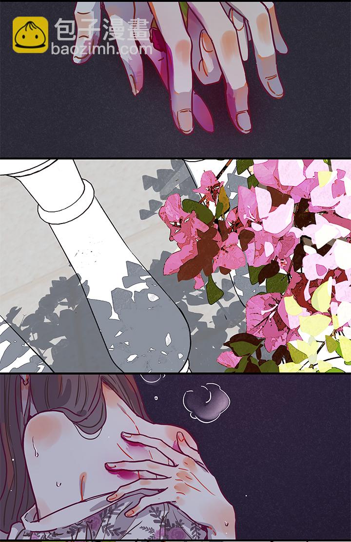 48 仙人掌果实-第50话