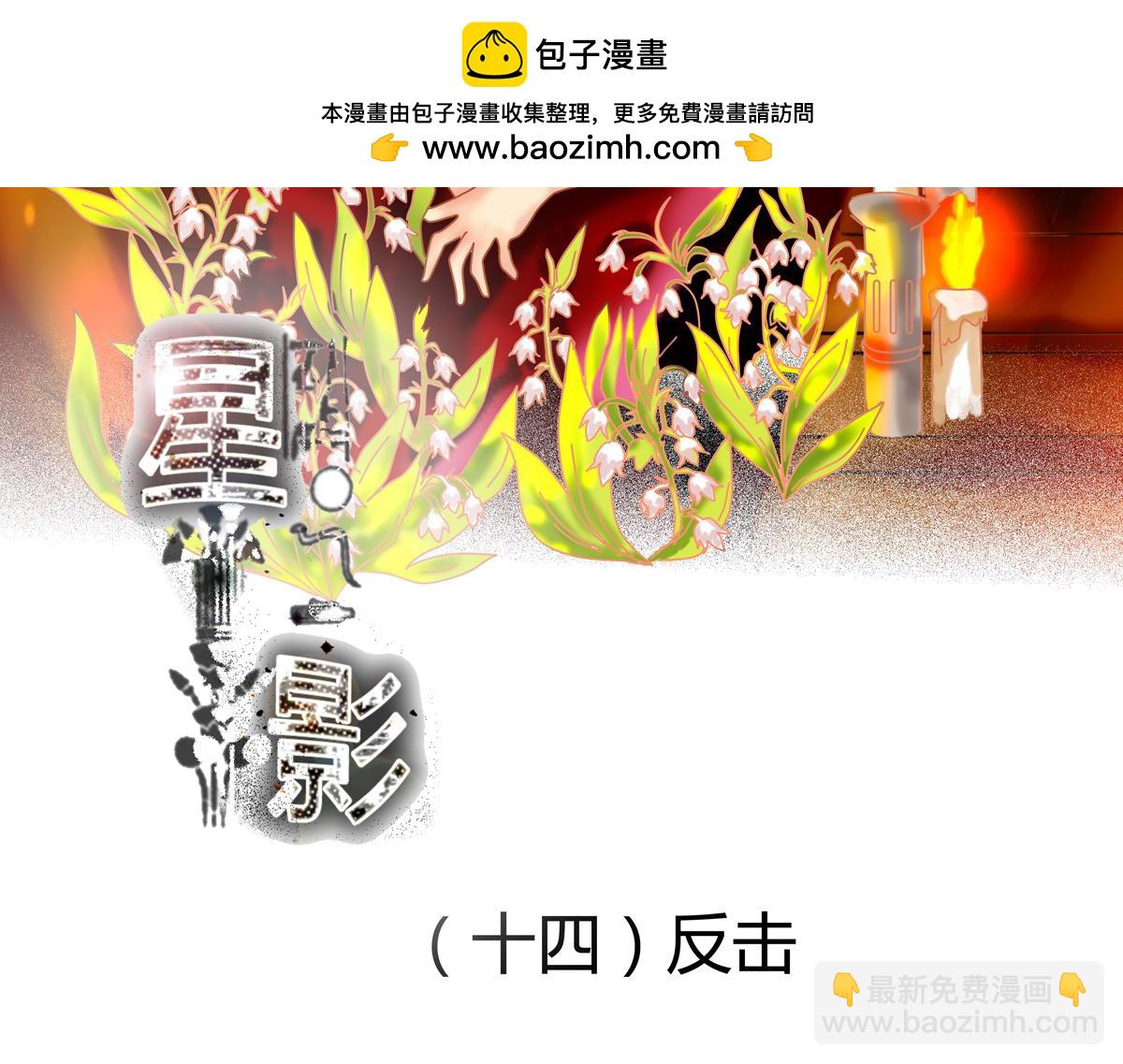 星影 - 第十四章 反擊一 - 2