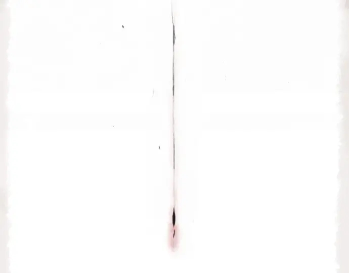 第12话 已经决定(1/2)-第12话