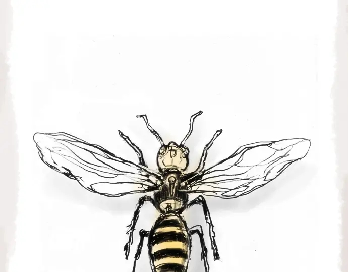 第12话 已经决定(1/2)-第12话