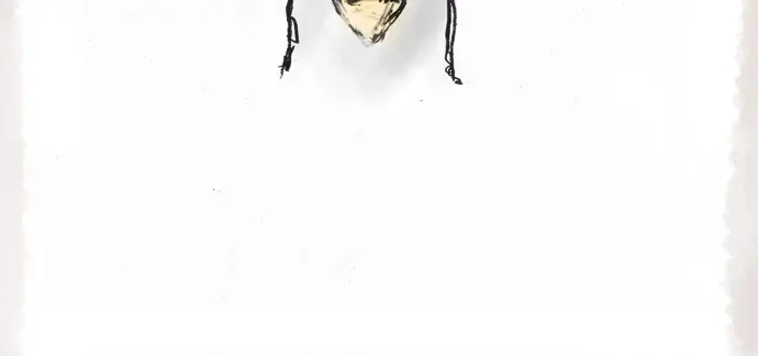 第12话 已经决定(1/2)-第12话