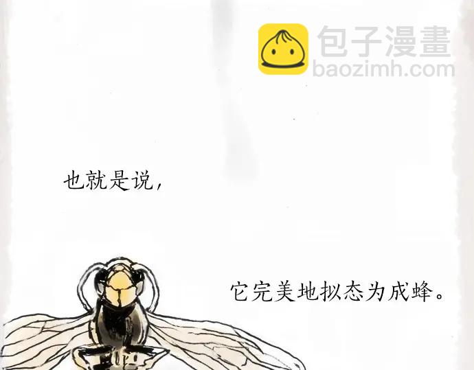 第12话 已经决定(1/2)-第12话