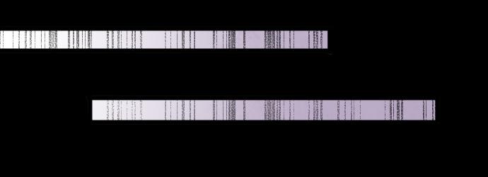 第199话 恶魔的诅咒(1/4)-第200话