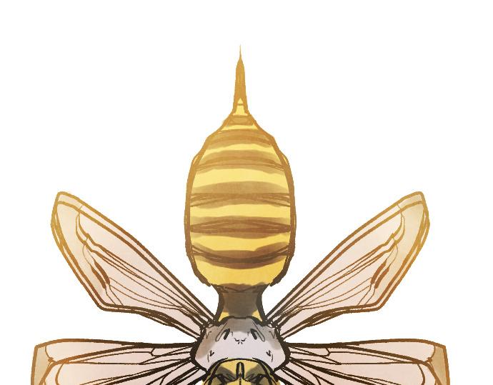 第249话 最终回的终点之始(1/6)-第250话