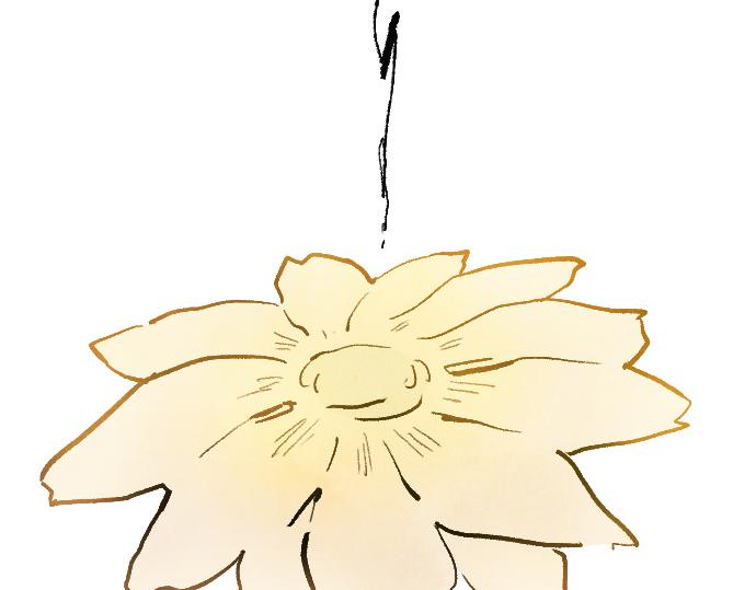 第249话 最终回的终点之始(1/6)-第250话