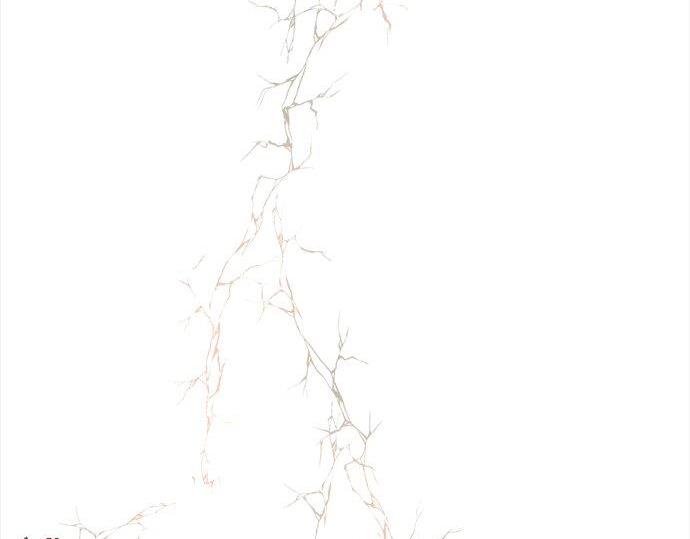 第67话 剪断(1/3)-第68话