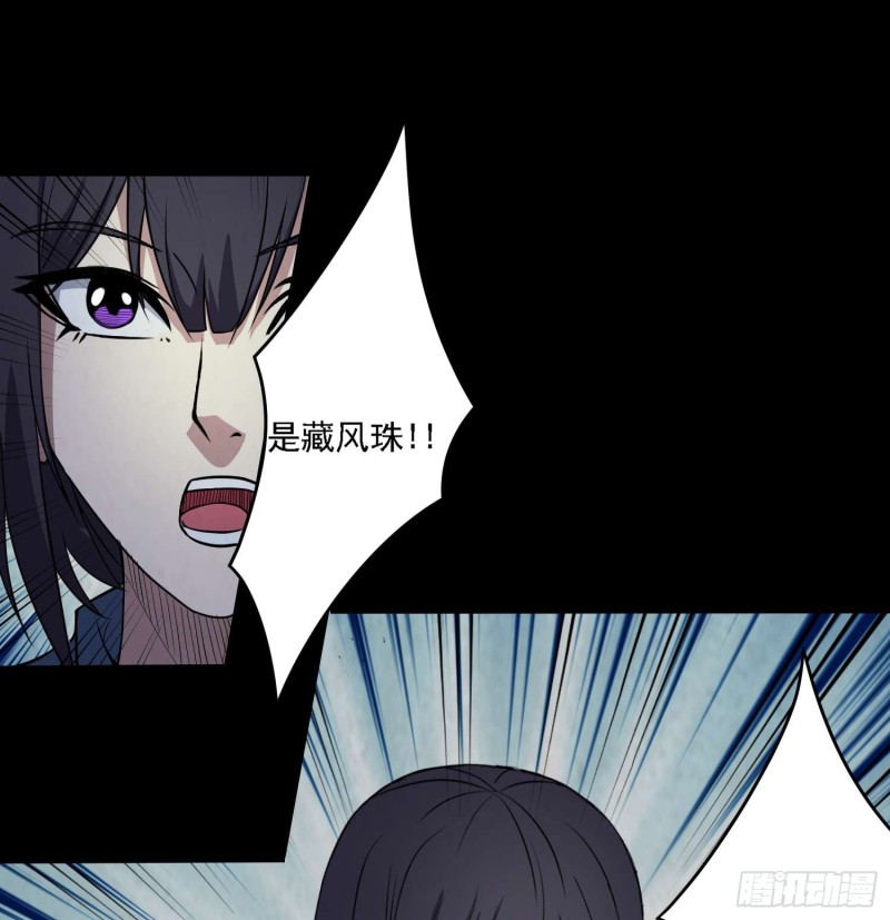 藏风宝珠(1/2)-第80话