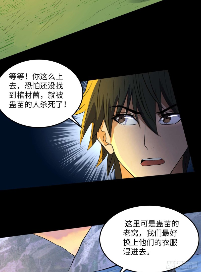 蛊苗统领(1/2)-第96话