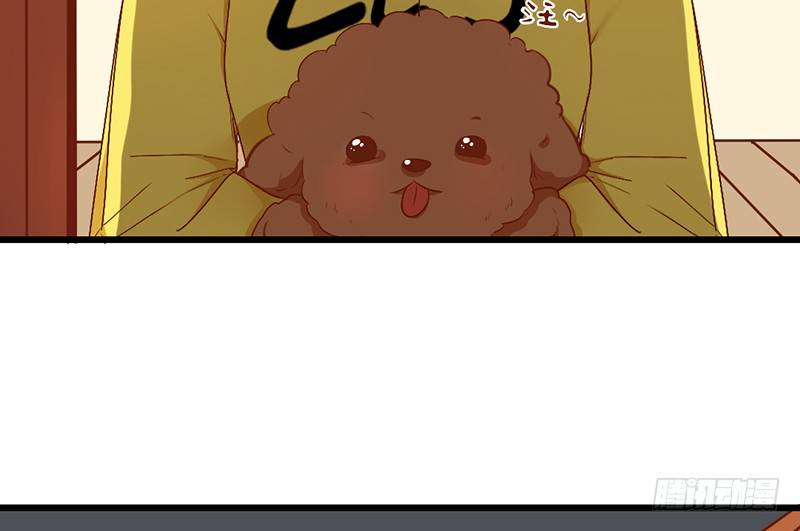 第6话 月&hellip;&hellip;月伦？！(1/2)-第6话