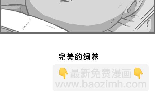 心靈的聲音 - [第116話] 恐怖之蝦(2/2) - 2