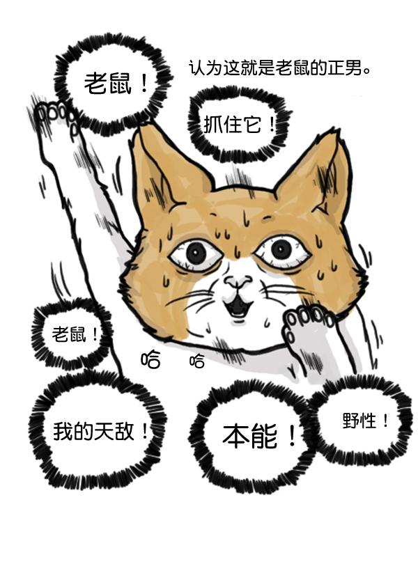 心靈的聲音 - 補充篇 [372話] 金正男的娛樂 - 3