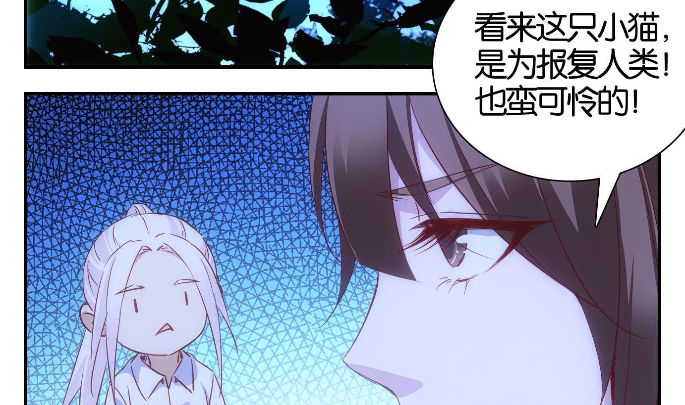 第41话 直播篇2-第42话