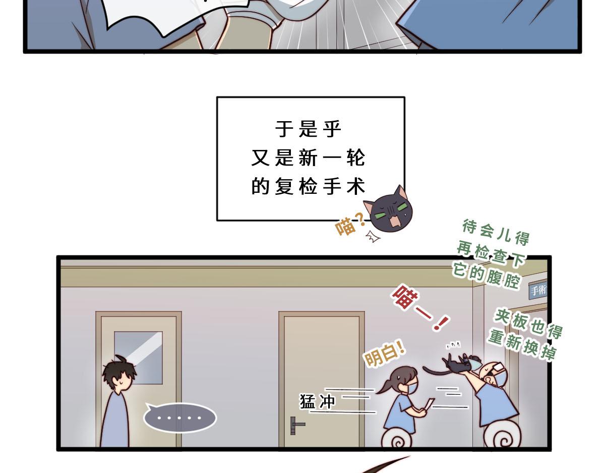 心.守 - 30.各傷一爪 - 1