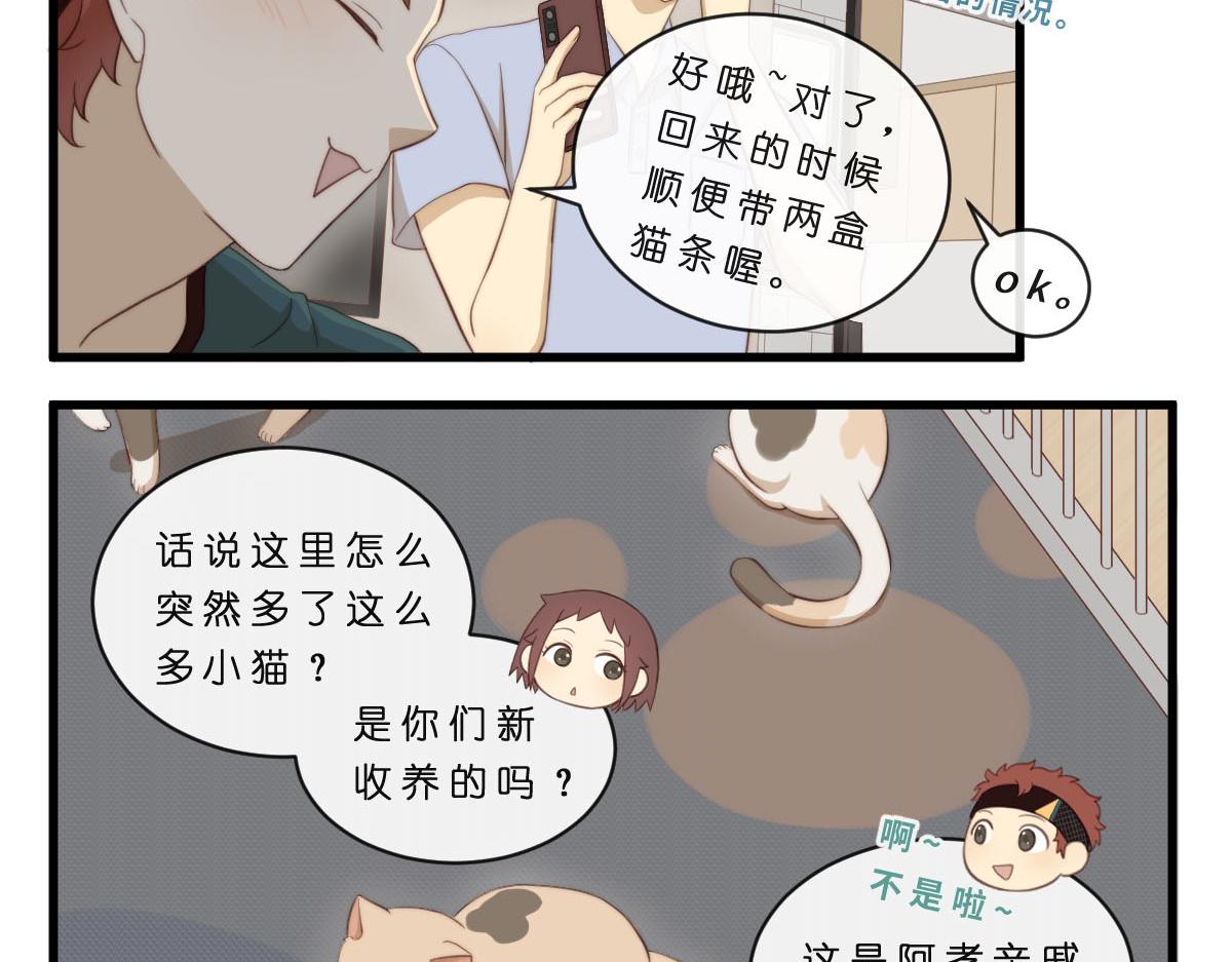 心.守 - 34.表哥家與貓 - 3