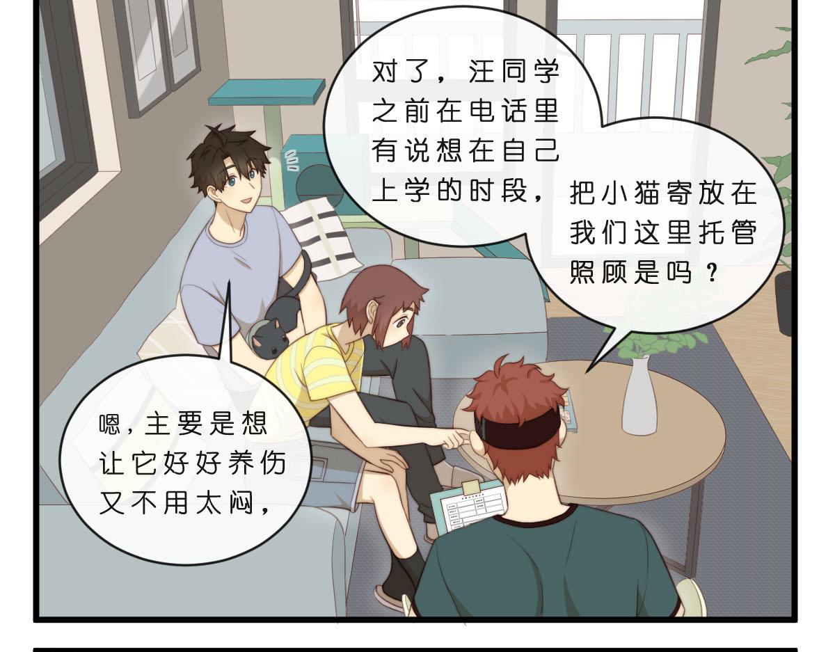 心.守 - 34.表哥家與貓 - 3