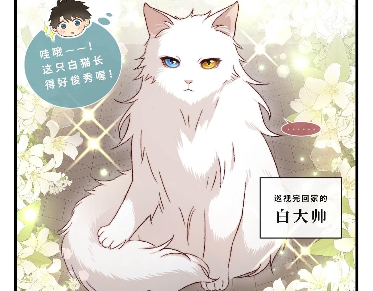 48.他们的场合-第58话