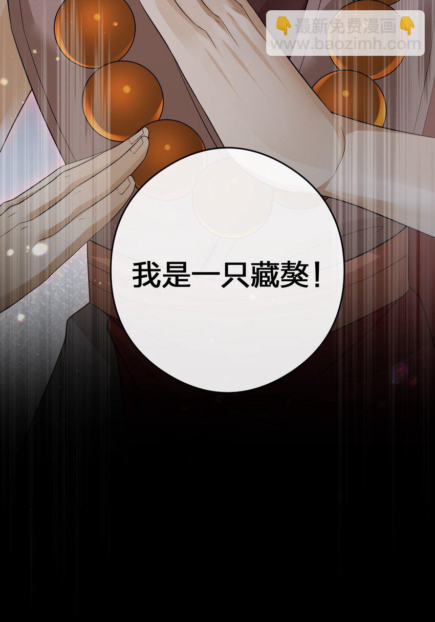 020 单身汉的酸奶(1/2)-第20话