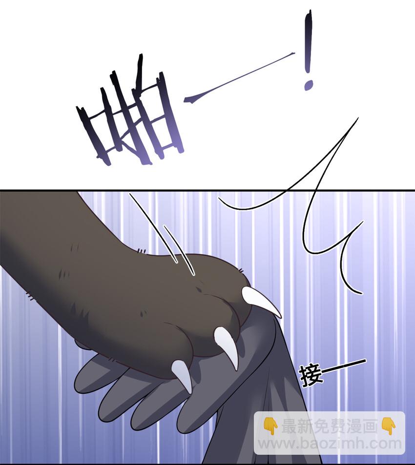 004 划分区域(1/2)-第4话