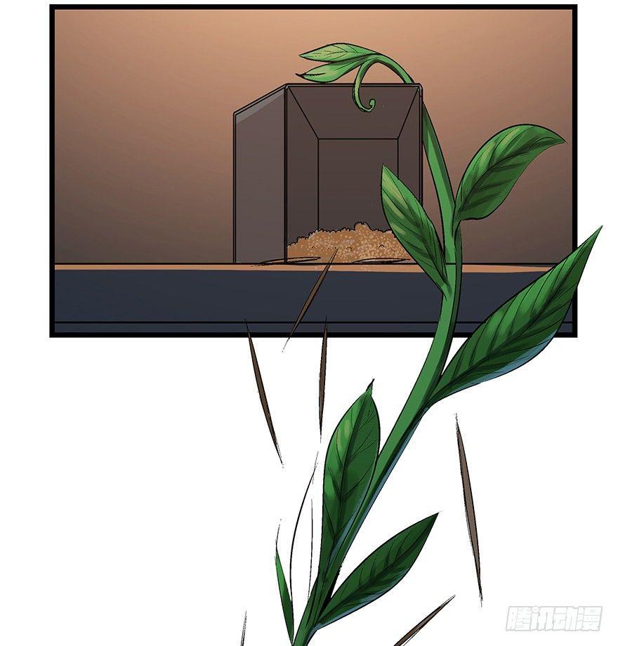 第一七零话&middot;花开之时(1/3)-第170话