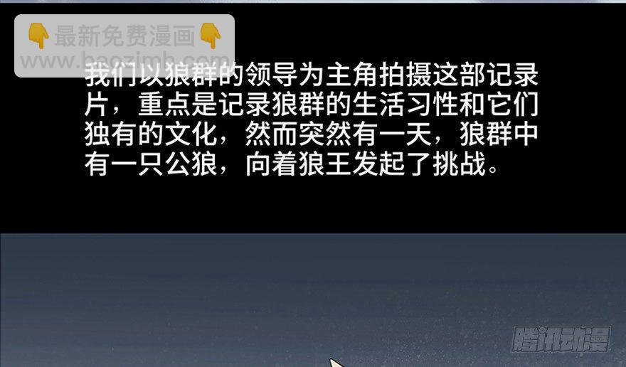 第九十七话&middot;孤 狼(1/3)-第96话