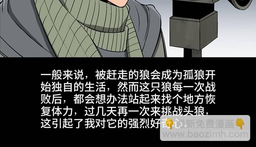 第九十七话&middot;孤 狼(1/3)-第96话