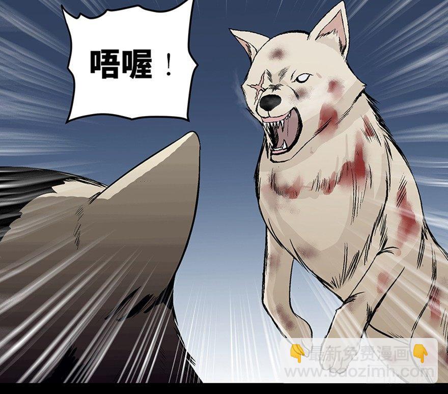 第九十七话&middot;孤 狼(1/3)-第96话