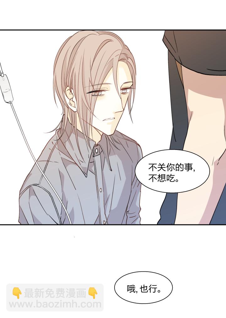 19 谎言守护着秘密-第20话