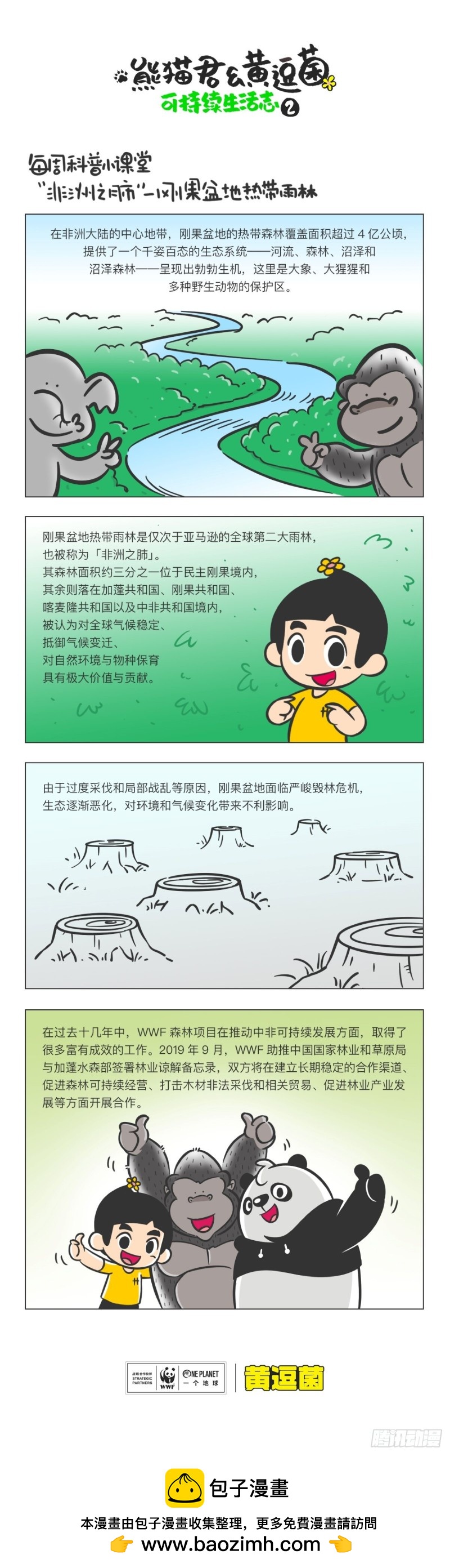 科普番外——刚果盆地热带雨林0