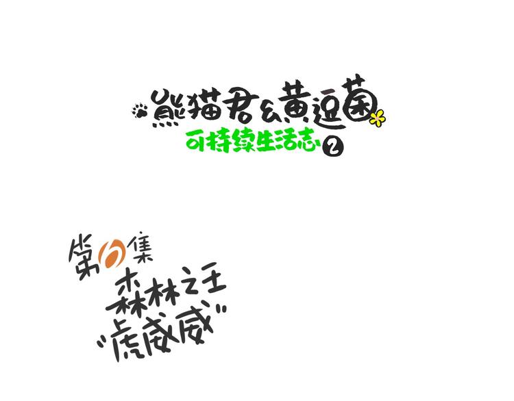 熊猫君&黄逗菌可持续生活志第二季 - 森林之王“虎威威” - 1