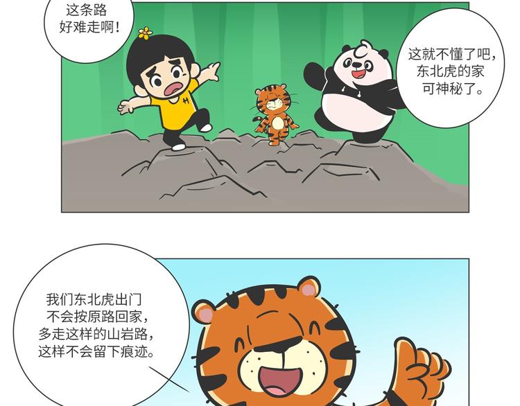 森林之王&ldquo;虎威威&rdquo;-第12话