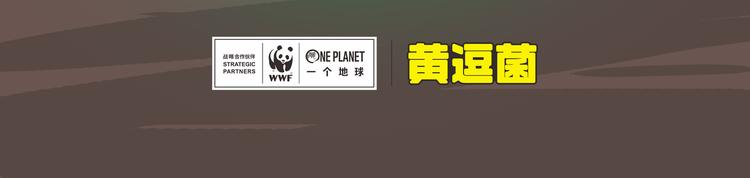 雨林深处的王者&ldquo;努卡&rdquo;-第14话