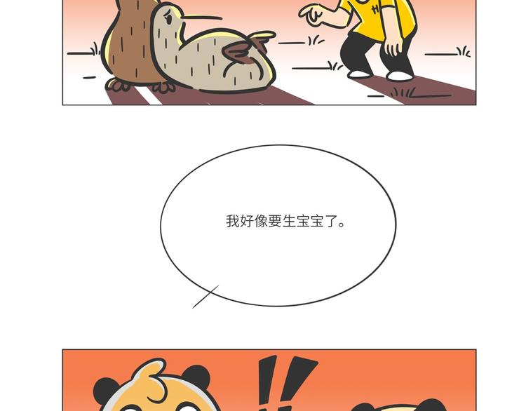 满满爱的几维鸟-第20话