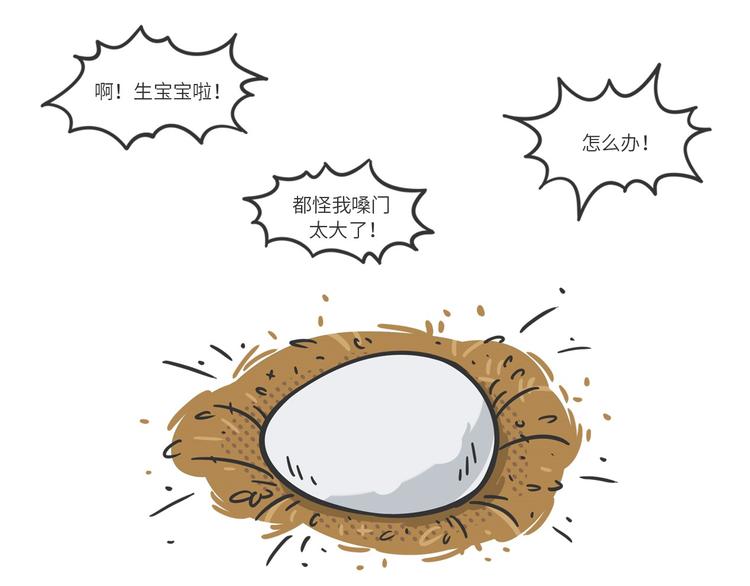 满满爱的几维鸟-第20话