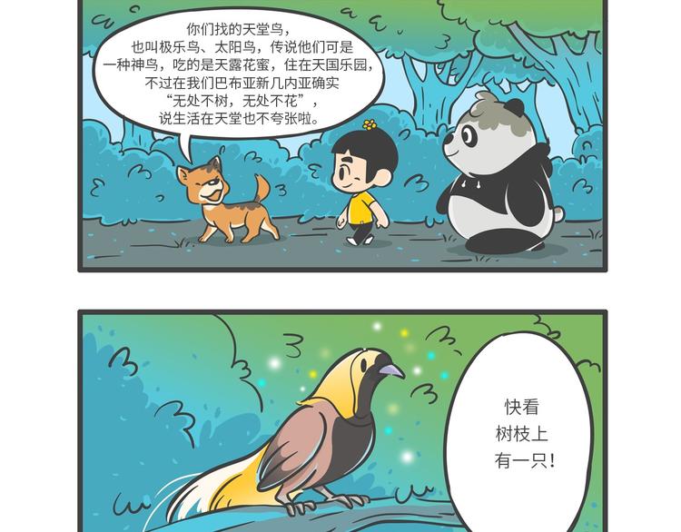 &ldquo;武林高手&rdquo;天堂鸟-第24话