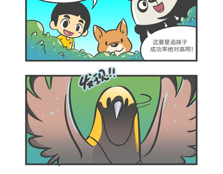 熊貓君&黃逗菌可持續生活志第二季 - “武林高手”天堂鳥 - 4