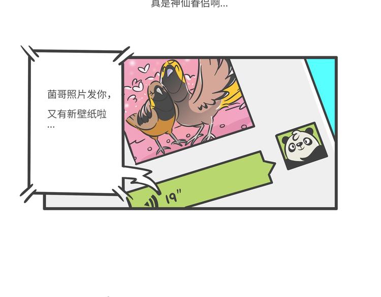 &ldquo;武林高手&rdquo;天堂鸟-第24话