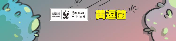 &ldquo;武林高手&rdquo;天堂鸟-第24话