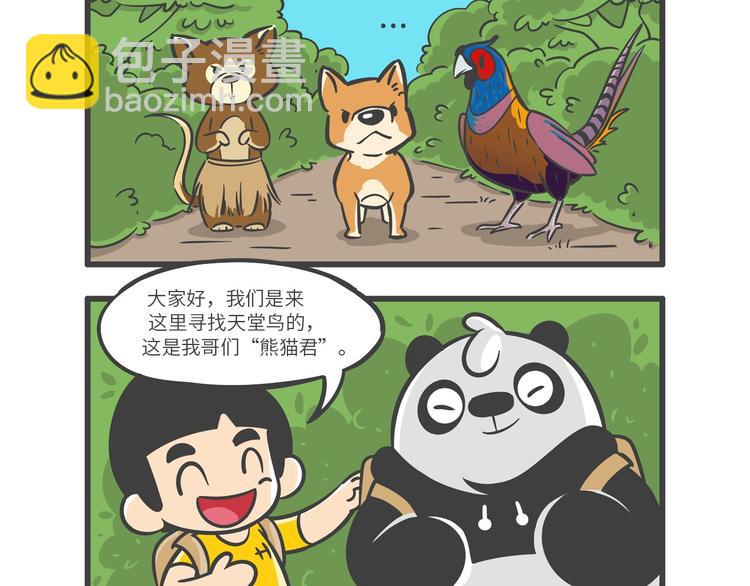 &ldquo;武林高手&rdquo;天堂鸟-第24话